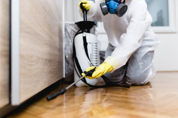  Pocola, OK Pest Control Pros