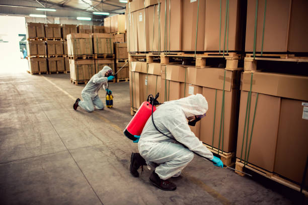 Best Ant Control Services  in Pocola, OK