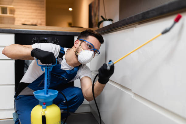 Best Pest Inspection Near Me  in Pocola, OK