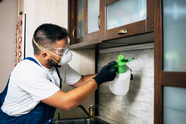 Best Pest Removal Services  in Pocola, OK