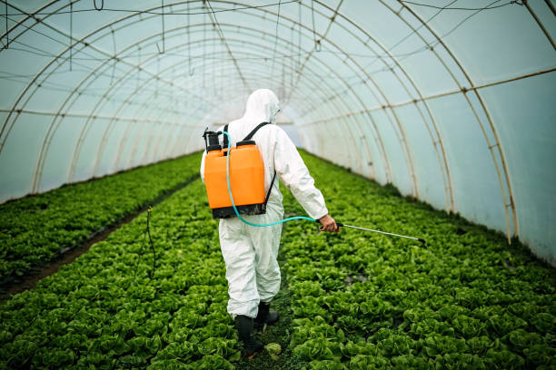 Best Pest Control Treatment  in Pocola, OK