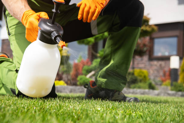 Best Exterminator Services  in Pocola, OK