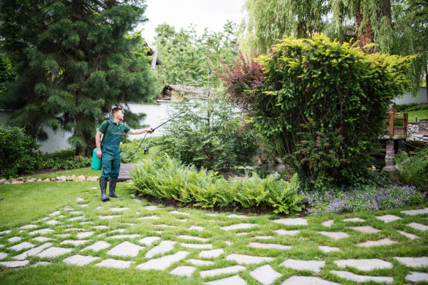 Best Local Pest Control Services  in Pocola, OK