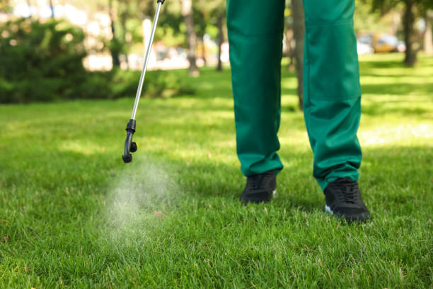 Best Pest Control Near Me in Pocola, OK