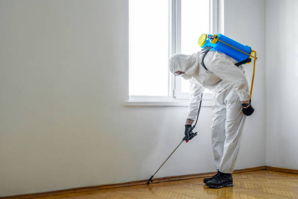 Best Affordable Pest Control Services  in Pocola, OK