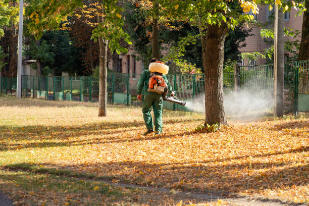 Best Best Pest Control Near Me  in Pocola, OK