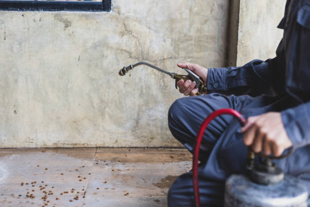 Best Emergency Pest Control  in Pocola, OK