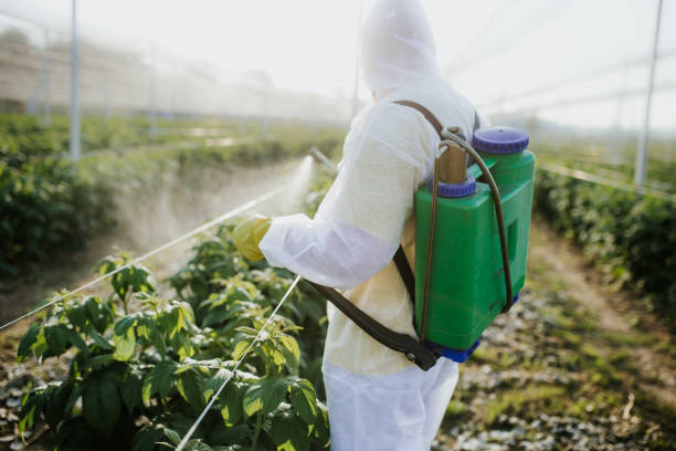 Best Commercial Pest Control Services  in Pocola, OK